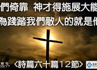 每週經句圖下載 – 20250817